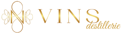 VINS Logo